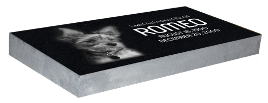 PET MARKER BUNDLES (10EA)