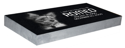 PET MARKER BUNDLES (10EA)