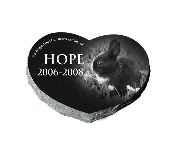 PET MARKER BUNDLES (10EA)