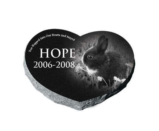 PET MARKER BUNDLES (10EA)